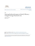 Walden dissertations and Doctoral studies: Winning banking strategies to identify efficiency changes during a financial crisis