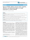 How do ADHD children perceive their cognitive, affective, and behavioral aspects of anger expression in school setting?