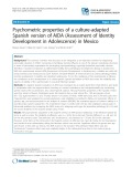 Psychometric properties of a culture-adapted Spanish version of AIDA (Assessment of Identity Development in Adolescence) in Mexico