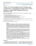 Tension force downregulates matrix metalloprotein-ase expression and upregulates the expression of their inhibitors through MAPK signaling pathways in MC3T3-E1 cells