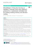 Rehabilitation of Executive function in Paediatric Traumatic brain injury (REPeaT): Protocol for a randomized controlled trial for treating working memory and decisionmaking