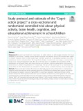 Study protocol and rationale of the “Cogniaction project” a cross-sectional and randomized controlled trial about physical activity, brain health, cognition, and educational achievement in schoolchildren