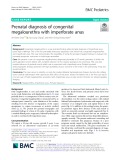 Prenatal diagnosis of congenital megalourethra with imperforate anus