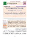 Studies on different crop establishment techniques and nitrogen management on Basmati rice variety (Pusa basmati 1509)
