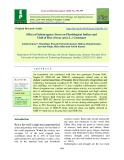 Effect of submergence stress on physiological indices and yield of rice (Oryza sativa L.) genotypes
