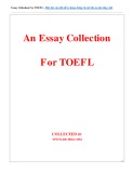 An essay collection for TOEFL