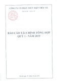 Báo cáo tài chính tổng hợp quý 1 năm 2019 - Công ty Cổ phần Thủy điện Thác Bà