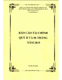 Báo cáo tài chính quý 2 và 6 tháng đầu năm 2019 - Công ty cổ phần Việt Nam Kỹ nghệ Súc sản