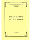 Báo cáo tài chính quý 4 và năm 2018 - Công ty cổ phần Việt Nam Kỹ nghệ Súc sản