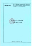 Báo cáo tài chính quý 1 năm 2019 - Công ty cổ phần Đầu tư Phát triển Nhà và Đô thị IDICO