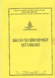 Báo cáo tài chính hợp nhất quý 2 năm 2018 - Công ty cổ phần Cấp thoát nước Cần Thơ