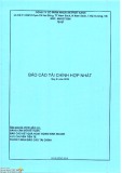 Báo cáo tài chính hợp nhất quý 3 năm 2019 - Công ty cổ phần Nhựa An Phát Xanh