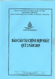 Báo cáo tài chính quý 2 năm 2019 - Công ty cổ phần Cấp thoát nước Cần Thơ