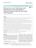 Why gone too soon? Examining social determinants of neonatal deaths in northwest Ethiopia using the three delay model approach