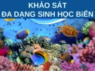 Bài giảng Khảo sát đa dạng sinh học biển