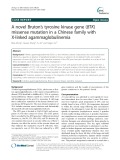 A novel Bruton’s tyrosine kinase gene (BTK) missense mutation in a Chinese family with X-linked agammaglobulinemia