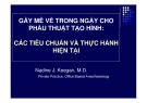 Bài giảng Gây mê về trong ngày cho phẫu thuật tạo hình: Các tiêu chuẩn và thực hành hiện tại