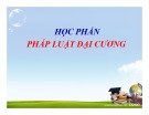 Bài giảng Pháp luật đại cương: Chương 1 - ĐH Kinh tế Đà Nẵng