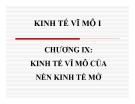 Bài giảng Kinh tế vĩ mô I: Chương 9 - ThS. Nguyễn Thị Hồng