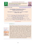 Standardisation of gamma dose in papaya cv. ranchi local and arka surya