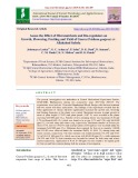 Assess the effect of micronutrients and bio-regulators on growth, flowering, fruiting and yield of guava (Psidium guajava) cv. Allahabad Safeda