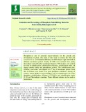 Isolation and screening of phosphate solubilizing bacteria from paddy rhizosphere soil