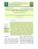 Morphological responses of rice (Oryza sativa L.) to organic and inorganic nutrients in rice-wheat cropping system