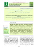 Enhancement of plant growth by using PGPR for a sustainable agriculture: A review