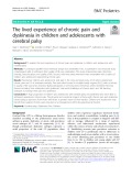 The lived experience of chronic pain and dyskinesia in children and adolescents with cerebral palsy