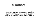 Bài giảng Kinh tế vi mô 2: Chương 6 - Hồ Hữu Trí (2018)