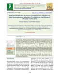 Molecular identification, production and optimization of pectinase by using stenotrophomonas maltophilia P9 isolated from algal biomass of Himachal Pradesh, India