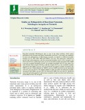 Studies on pathogenicity of root-knot nematode, Meloidogyne incognita on turmeric