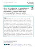 Effects of β1-adrenergic receptor blockade on the cerebral microcirculation in the normal state and during global brain ischemia/reperfusion injury in rabbits
