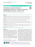 Comparison of metamizole and paracetamol effects on colonic anastomosis and fibroblast activities in Wistar rats