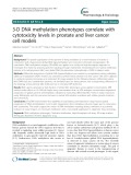 3-D DNA methylation phenotypes correlate with cytotoxicity levels in prostate and liver cancer cell models