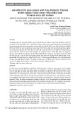 Nghiên cứu khả năng hấp phụ phenol trong nước bằng than hoạt tính điều chế từ mùn cưa gỗ thông