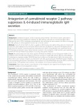 Antagonism of cannabinoid receptor 2 pathway suppresses IL-6-induced immunoglobulin IgM secretion