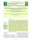 Effect of inorganic fertilizers and bio fertilizers on yield and economics of onion (Allium cepa L.) production