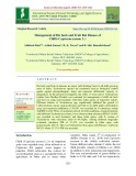 Management of die back and fruit rot disease of chilli (Capsicum annum L.)