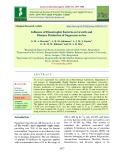 Influence of diazotrophic bacteria on growth and biomass production of sugarcane invitro