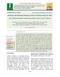 Production and marketing challenges of potato cultivation in Haryana, India