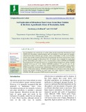 An exploration of rhizobium from green gram root nodules in the three agroclimatic zones of Karnataka, India