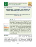 Halosulfuron methyl 75% WG (Sempra) – A new herbicide for the control of cyperus rotundus in maize (Zea mays L.) crop in Bihar