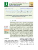 Yield and economics of rabi sorghum [Sorghum bicolor (L.) Moench] as influenced by different drip irrigation regimes and fertigation levels