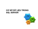 Bài giảng Cơ sở dữ liệu: Cấu trúc dữ liệu trong SQL server - ThS. Nguyễn Ngọc Quỳnh Châu