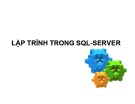 Bài giảng Cơ sở dữ liệu: Lập trình trong SQL server - ThS. Nguyễn Ngọc Quỳnh Châu