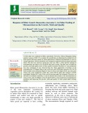 Response of bitter gourd (Momordica charantia L.) to foliar feeding of micronutrient on the growth, yield and quality
