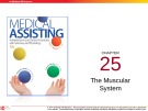 Lecture Medical assisting: Administrative and clinical procedures (5e) - Chapter 25: The muscular system