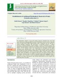 Establishment of antifungal phyllospheric bacteria in potato (Solanum tuberosum L.)
