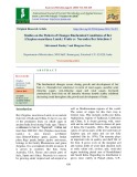 Studies on the pattern of changes biochemical constitutes of Ber (Zizyphus mauritiana Lamk.) Fruits cv. narendra ber selection-1